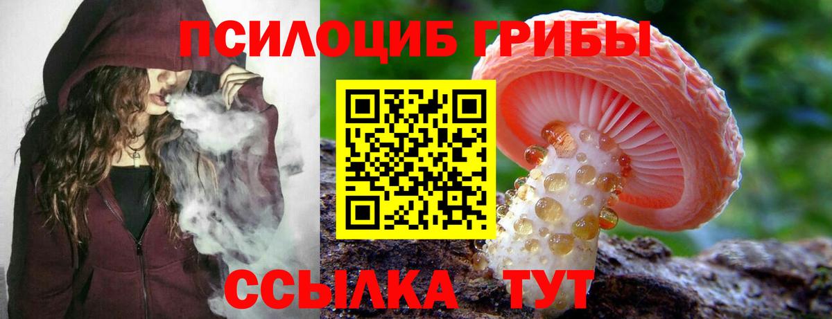 Березники  дарнет шоп  Вход с VPN  Галлюциногенные грибы GOLDEN TEACHER 